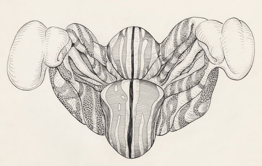 Vertical Heterophoria