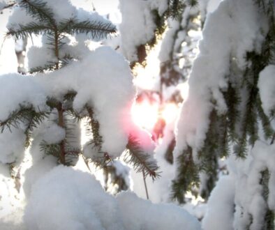 Photo snow vision syndrome